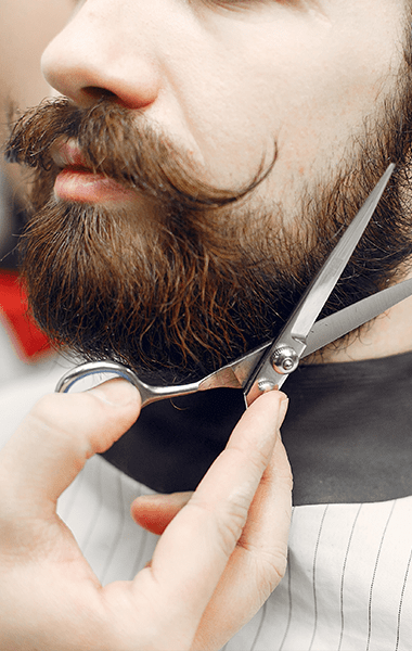 Berbernica Legat Background